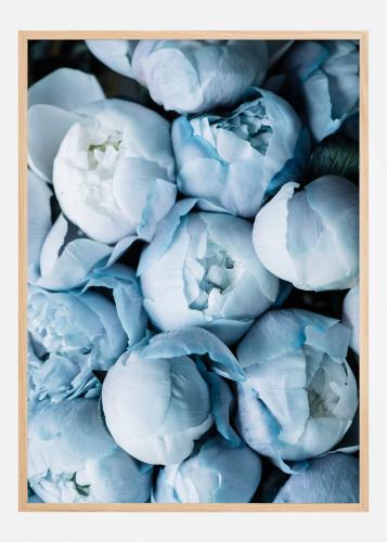 Hier Peonies Poster Kaufen BGASTORE DE