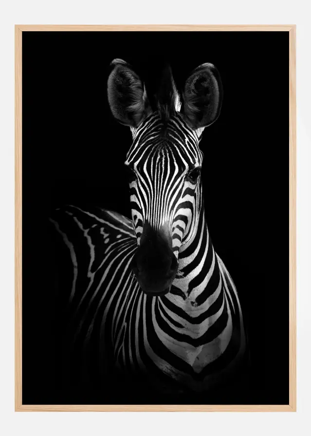 Bildverkstad The Zebra Poster