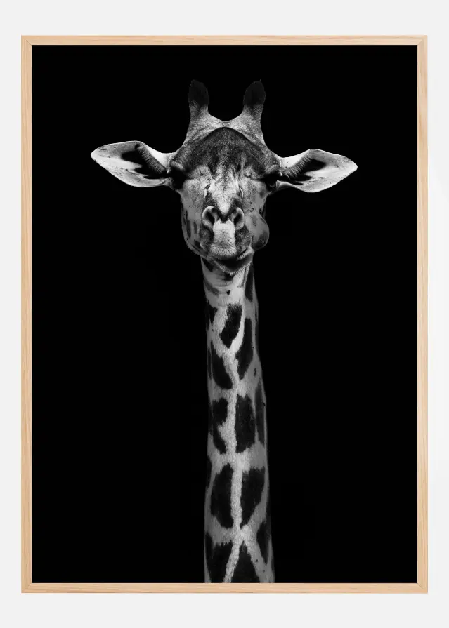 Bildverkstad Giraffe Portrait Poster