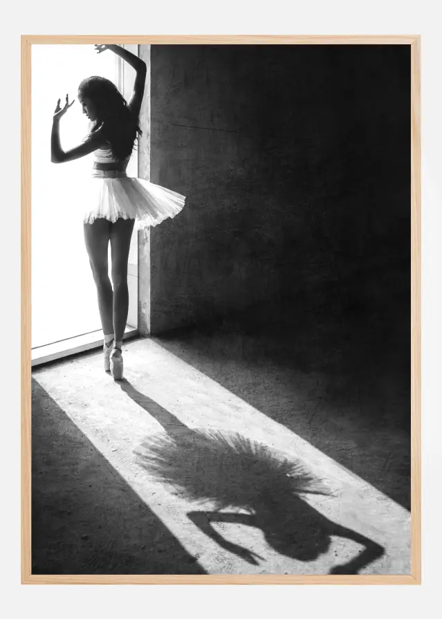 Bildverkstad Shadow Dance Poster