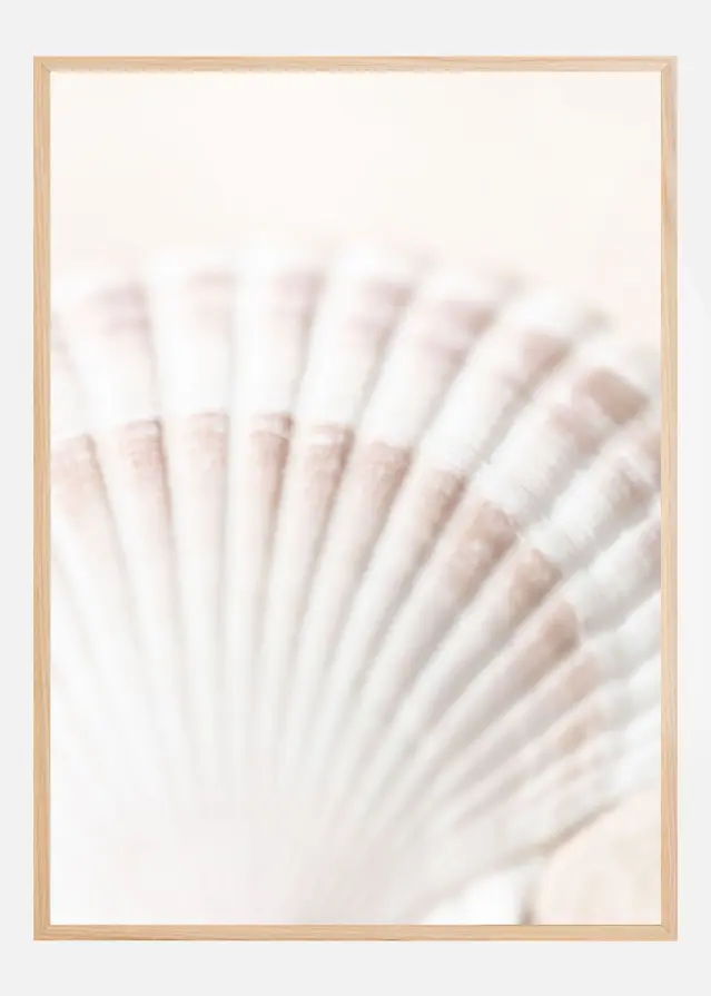 Bildverkstad Shell Poster