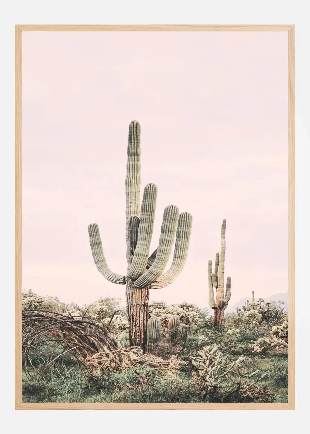 Bildverkstad Pink Saguaro Poster