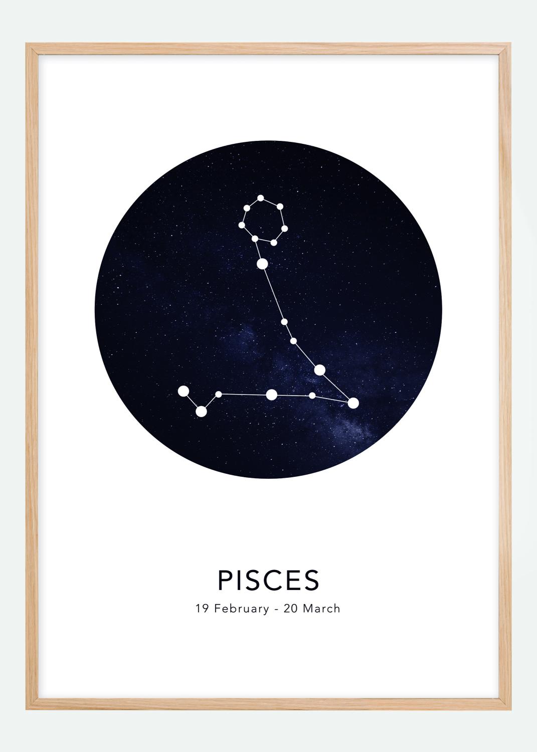 Product Image for Pisces Poster (21x29.7 cm (A4))