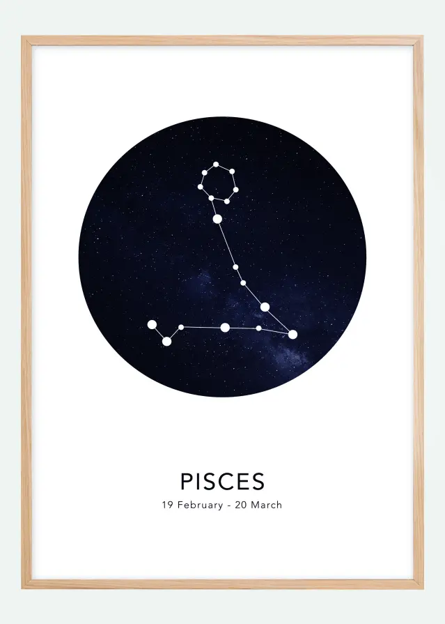 Bildverkstad Pisces Poster