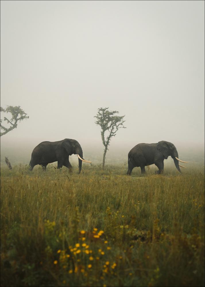 Bildverkstad Elephant Walk Poster