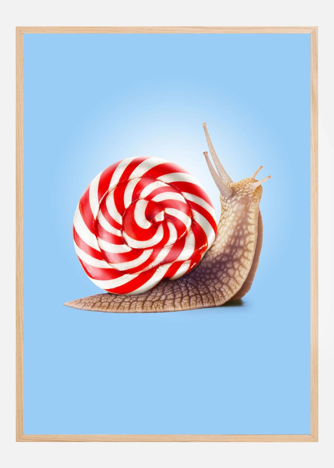 Product Image for Snail Candy Poster (40x60 cm)
