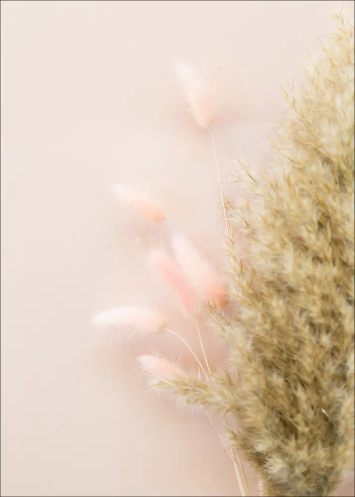 Bildverkstad Pink Fluff