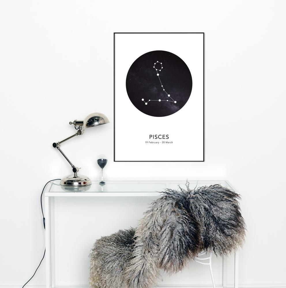 Bildverkstad Pisces Poster