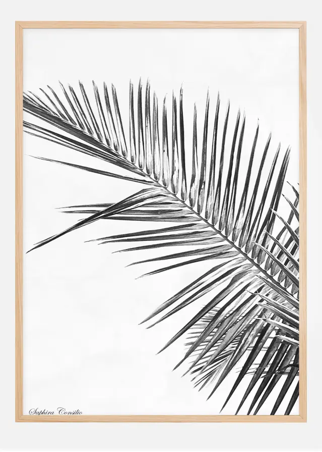 Bildverkstad Black palm Poster