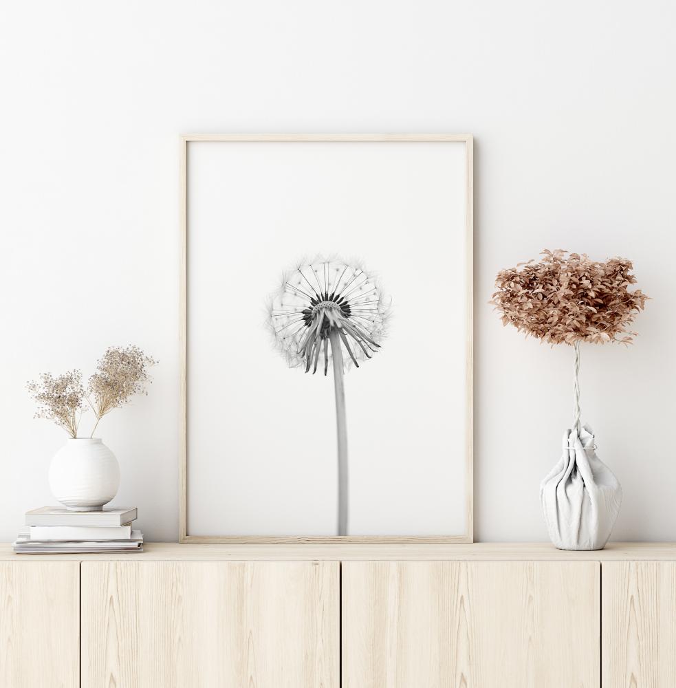 Bildverkstad Dandelion Poster