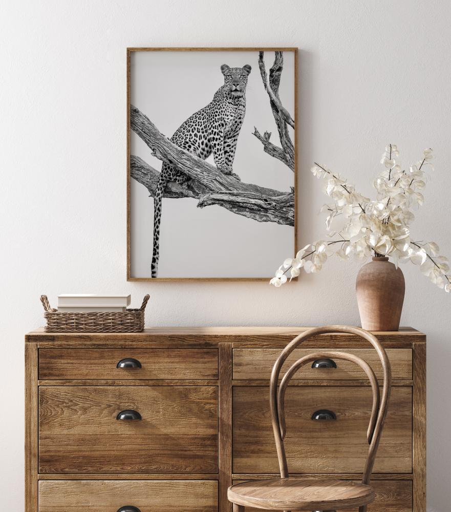 Bildverkstad Leopard Portrait Poster