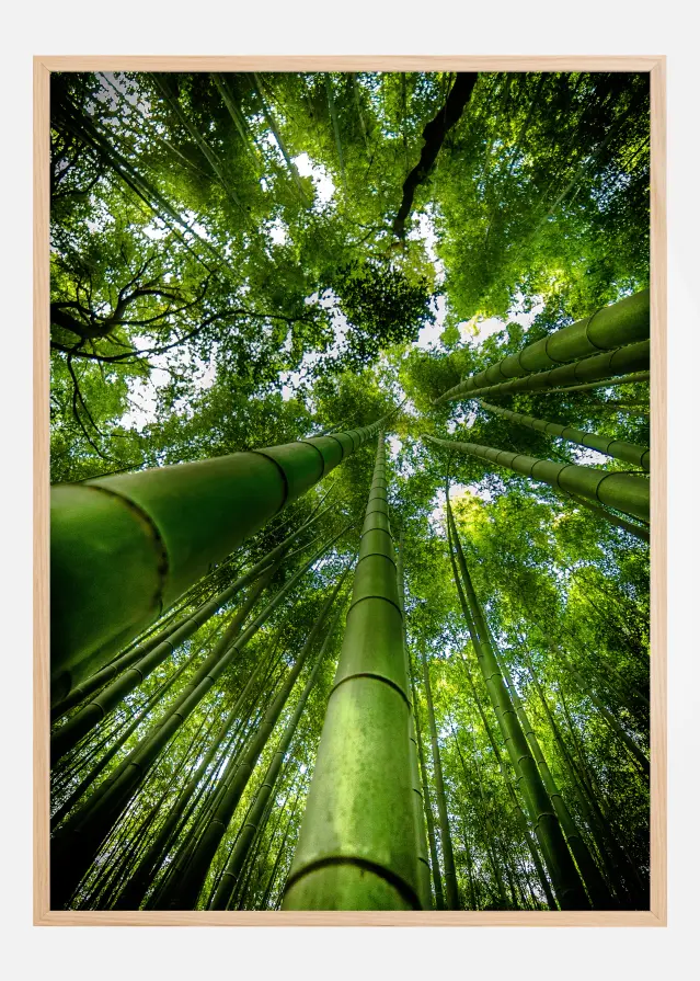 Bildverkstad ARASHIYAMA Poster