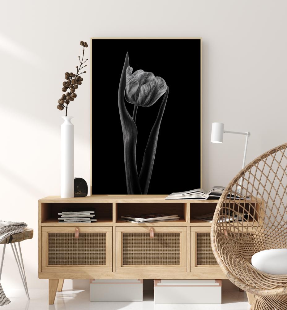 Bildverkstad Rembrandt Tulip Poster