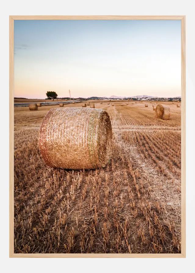 Bildverkstad Hay Fields Poster