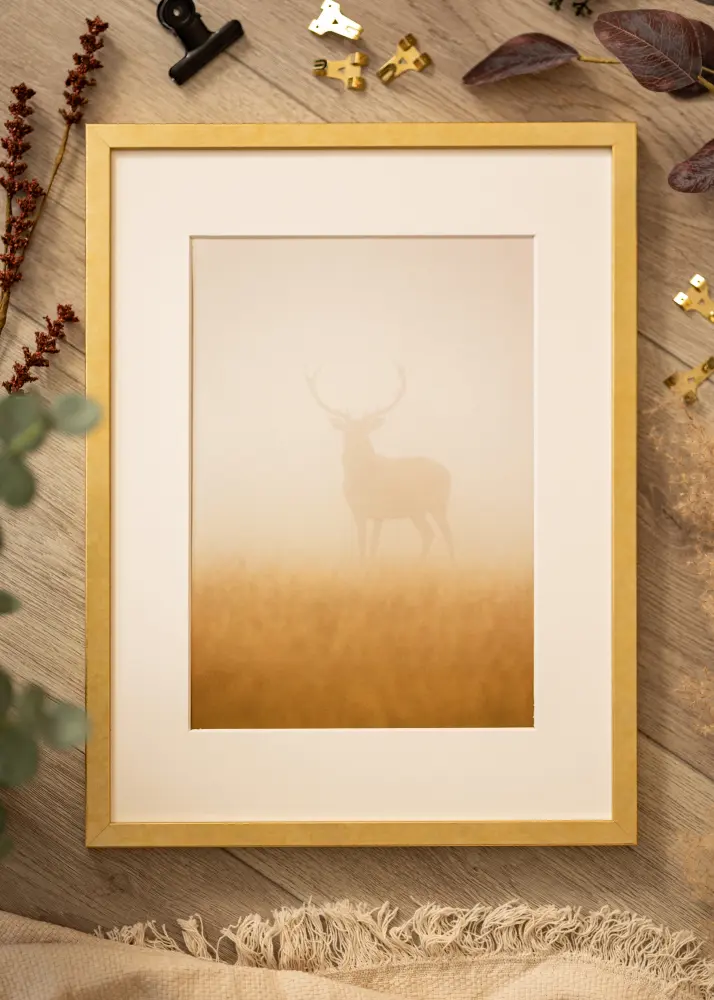 Mavanti Rahmen Ares Acrylglas Gold 50x50 cm