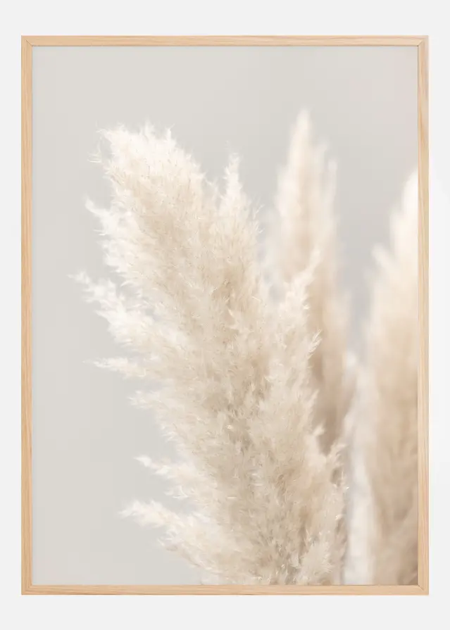 Bildverkstad Pampas Grass IIII Poster