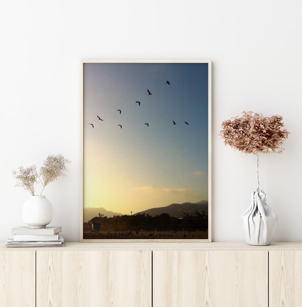 Bildverkstad Goodbye Birds Poster