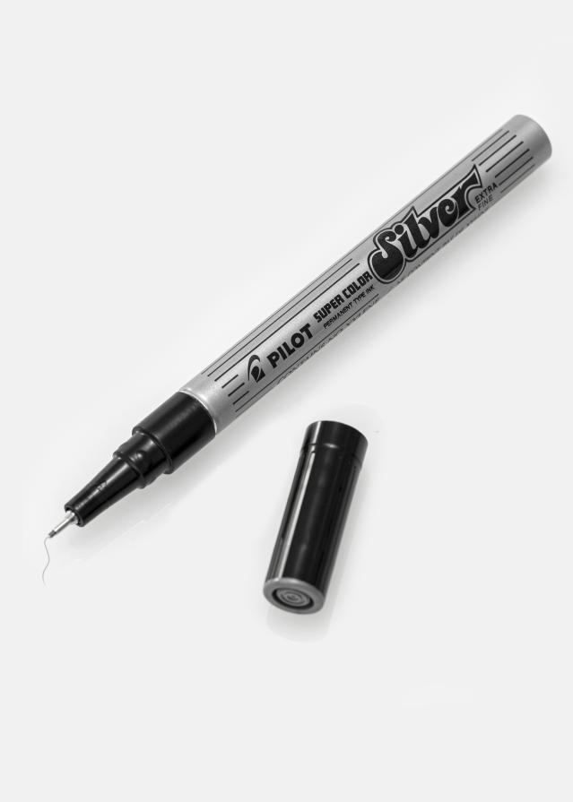 Focus Pilot Albumstift Silber