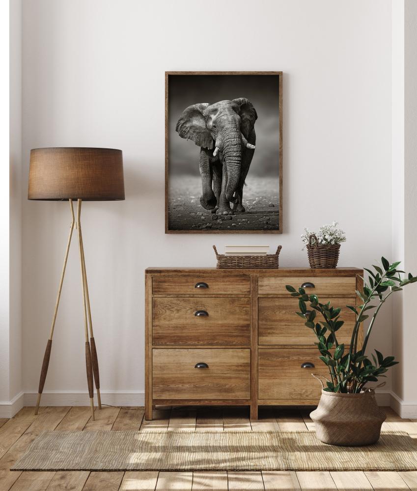 Bildverkstad Walking Elephant Poster