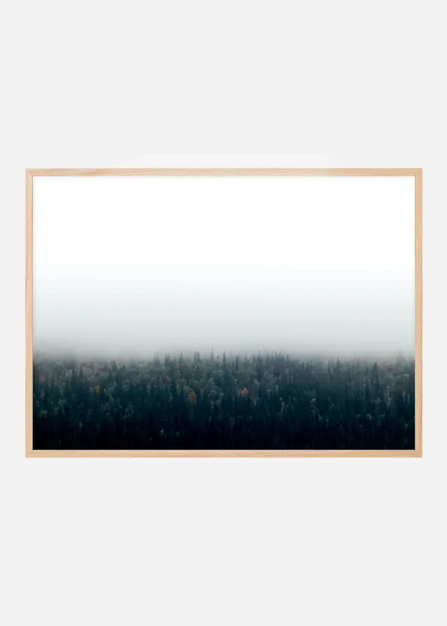 Bildverkstad Forests in fog Poster