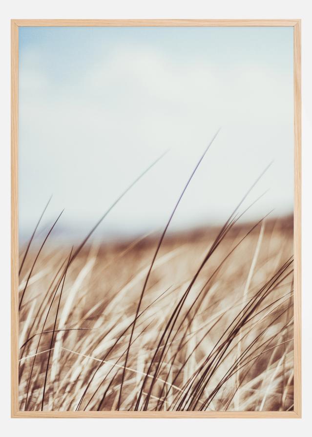 Bildverkstad Dreamy Grass Poster