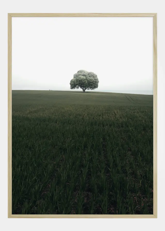 Bildverkstad The lonely oak tree Poster