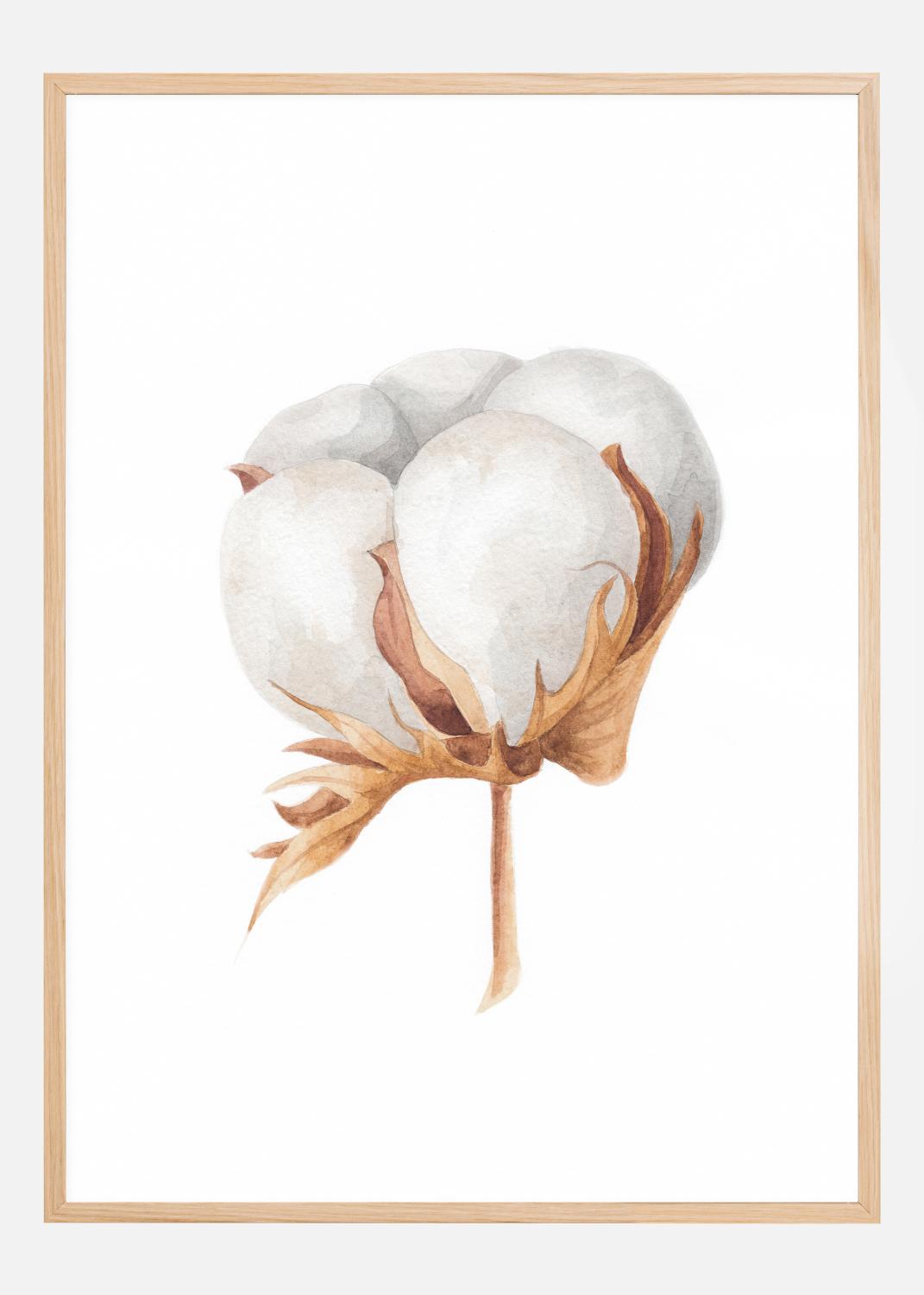 Product Image for Cotton Flower Poster (21x29.7 cm (A4))