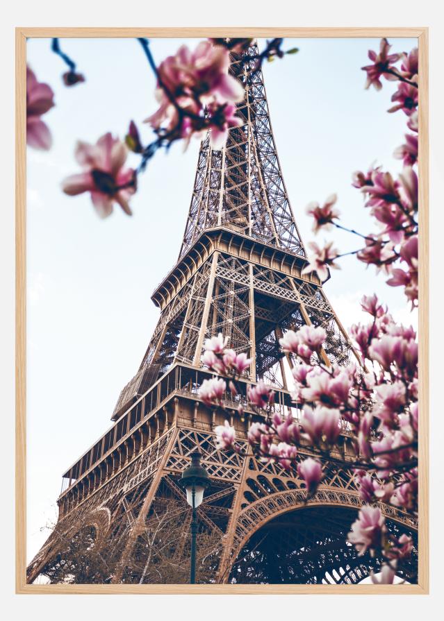 Bildverkstad Eiffel Tower Blossoms Poster