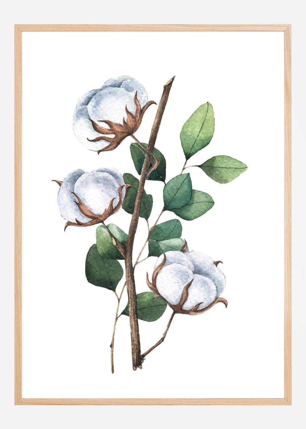 Product Image for Cotton Flower Poster (21x29.7 cm (A4))
