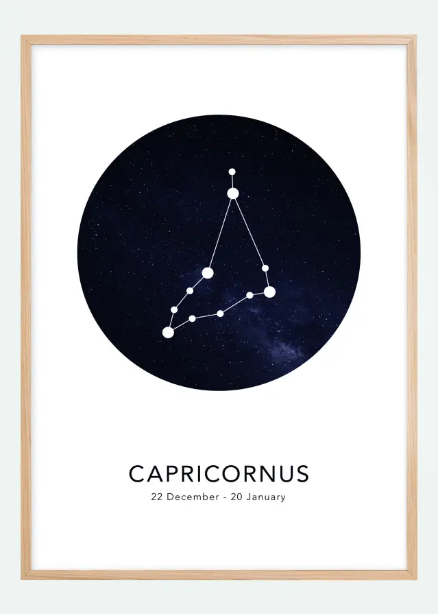 Bildverkstad Capricornus Poster