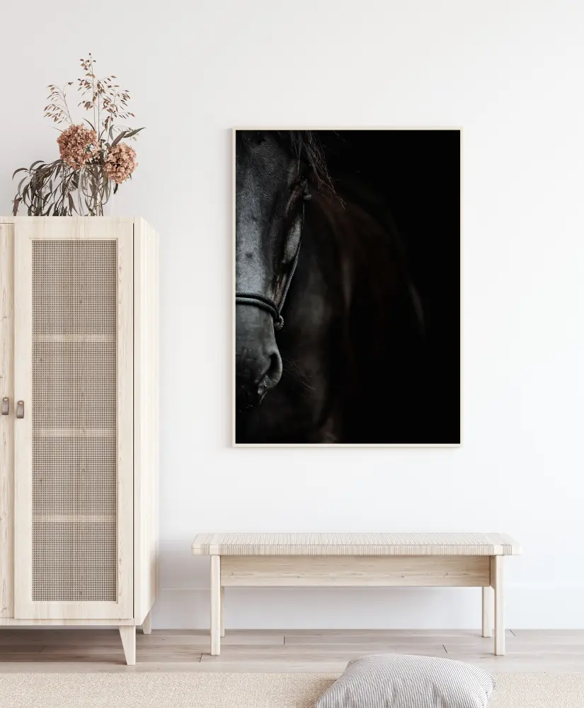 Bildverkstad Dark Horse