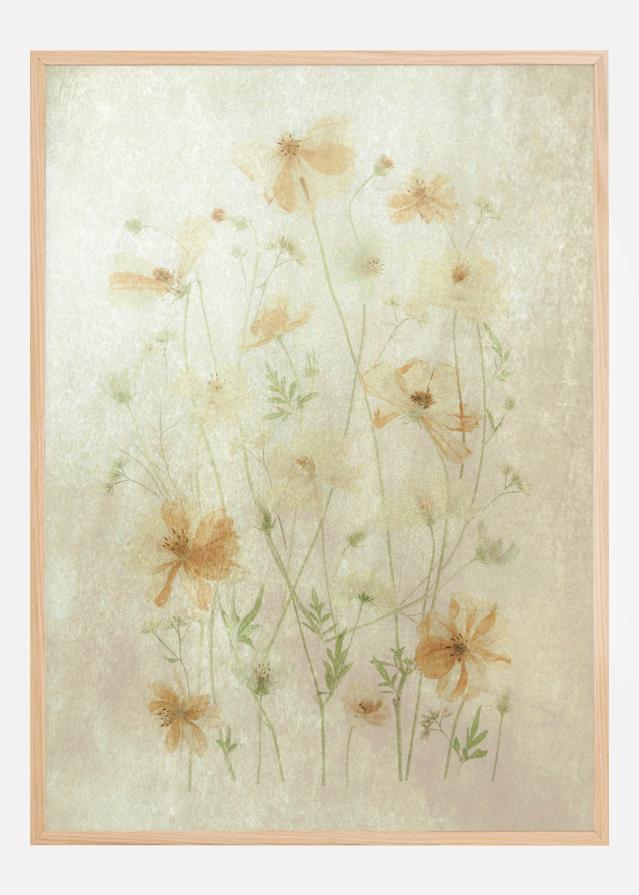 Bildverkstad Yellow Cosmos Poster