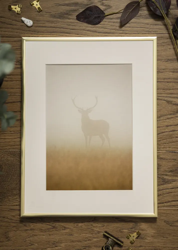 Ram med passepartou Rahmen Poster Frame Aluminum Gold 70x100 cm - Passepartout Weiß 62x93 cm