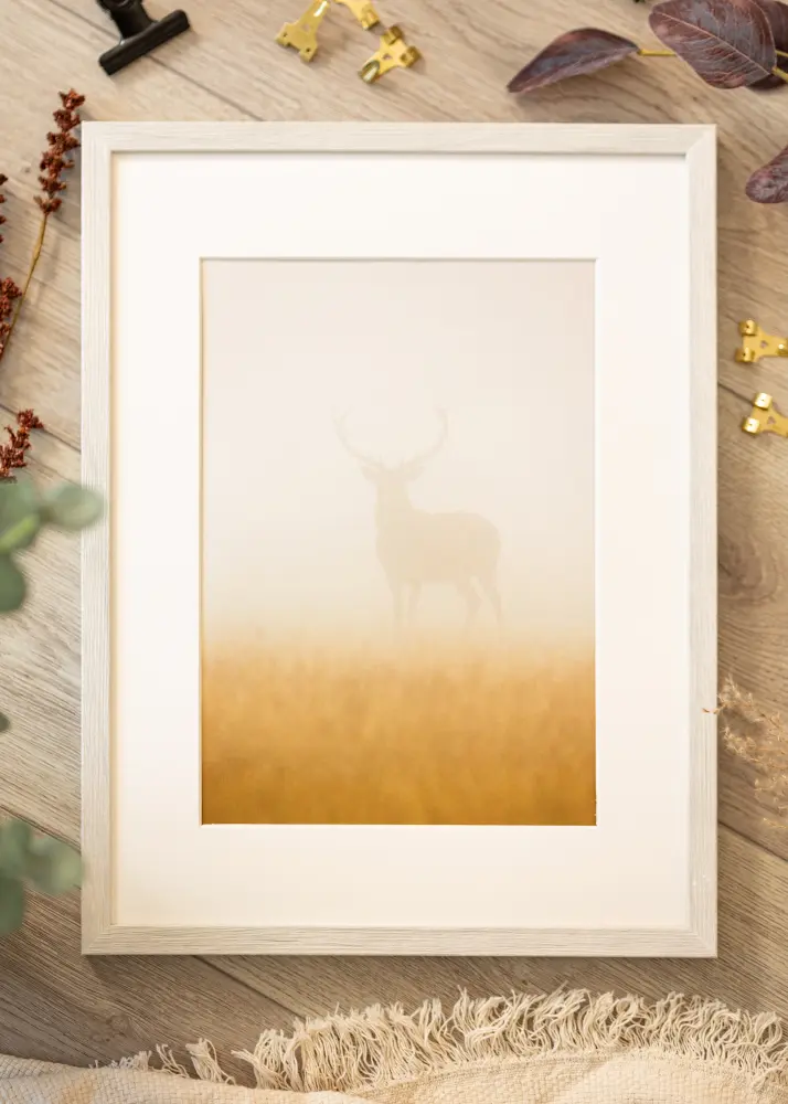 Mavanti Rahmen Ares Acrylglas White Oak 40x60 cm