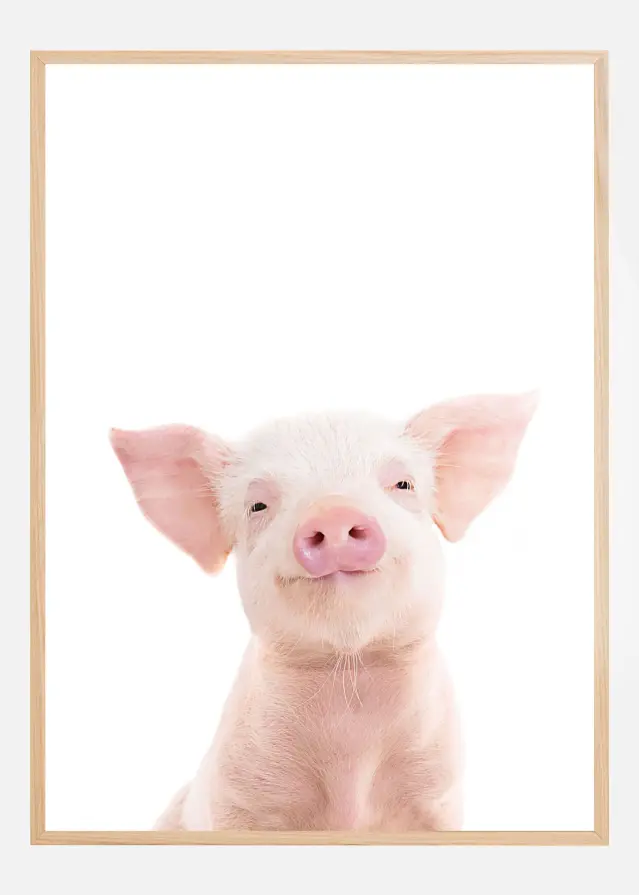 Bildverkstad Baby Pig Poster