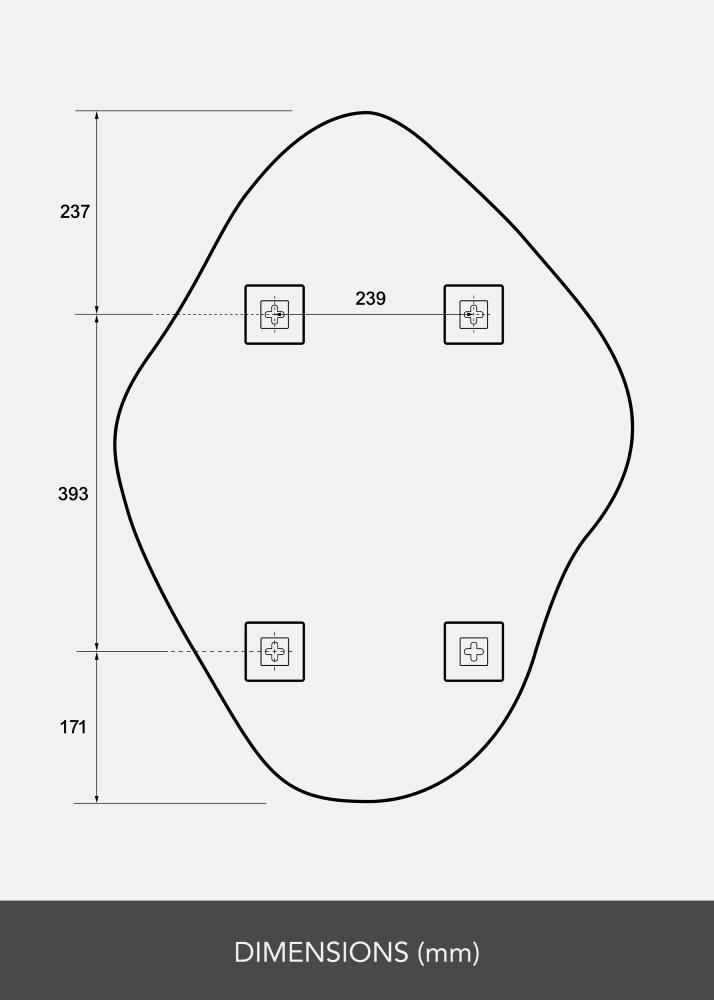 BGA Spiegel Biface 60x80 cm