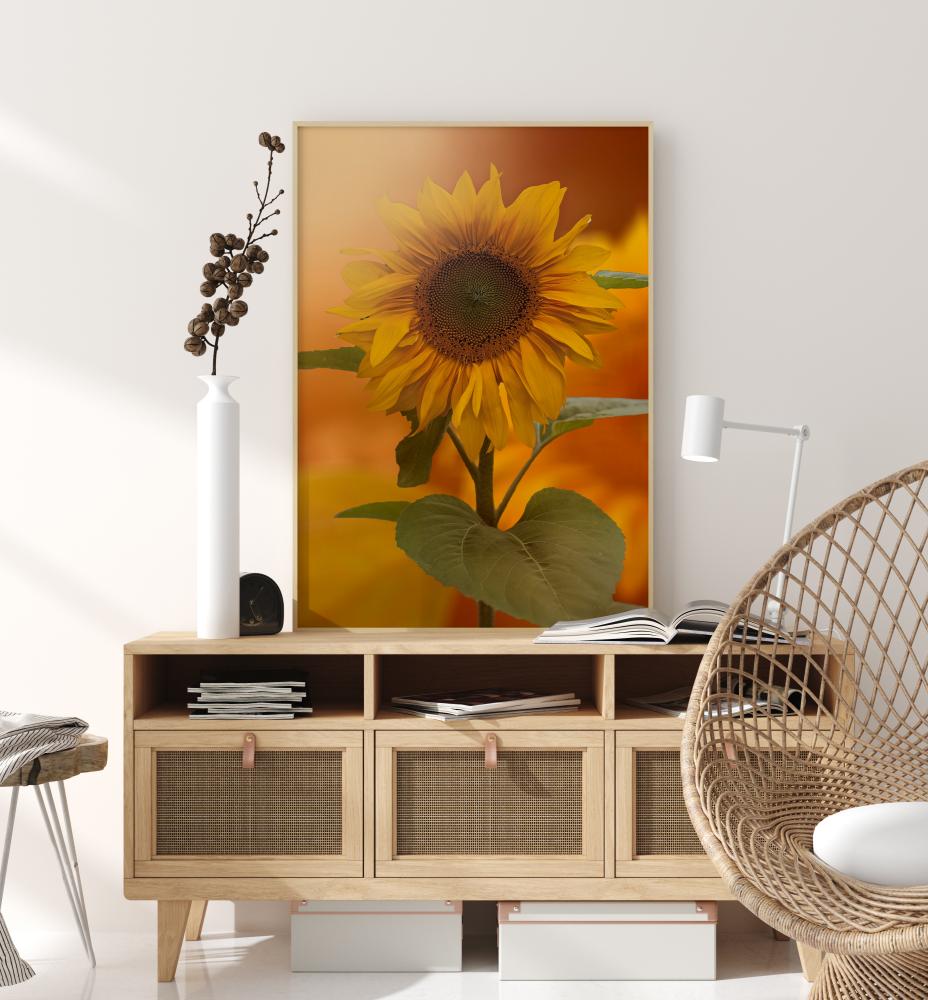 Bildverkstad Sunflower Poster