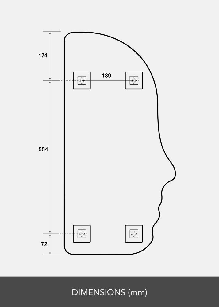 BGA Spiegel Face 40x80 cm