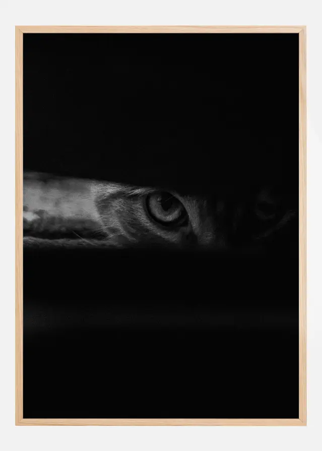 Bildverkstad Peeking cat Poster