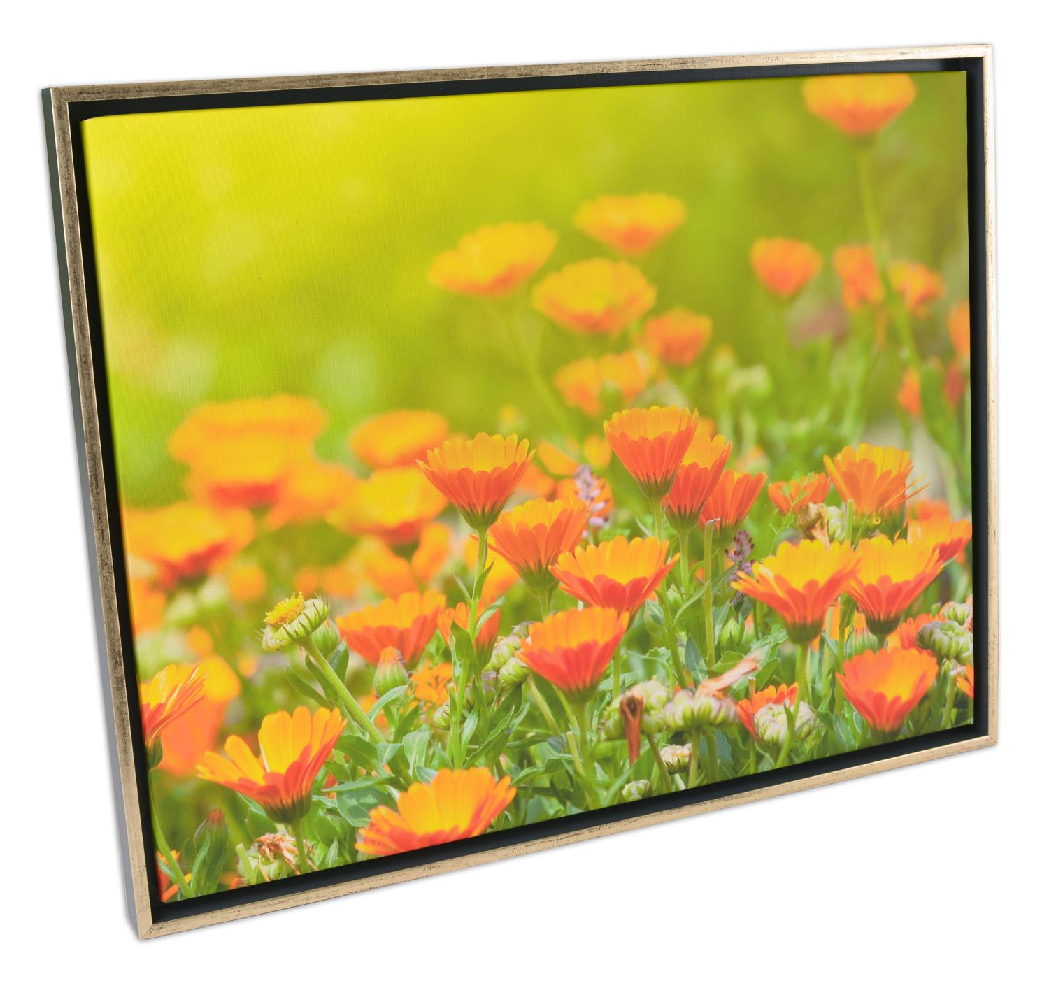 Product Image for Åsen Canvas-Rahmen Dunkelgrau/Gold - Größe nach Wunsch (Bilderrahmen für Leinwand)