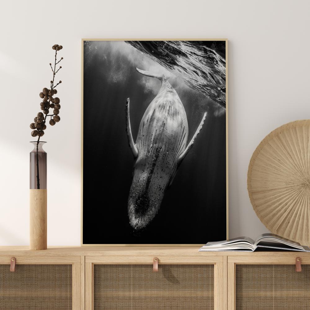 Bildverkstad Black A Whale Poster