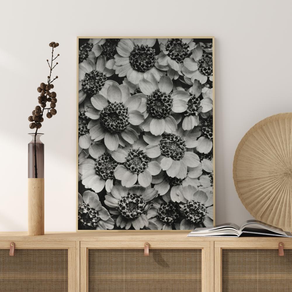 Bildverkstad Black And White Flowers Poster