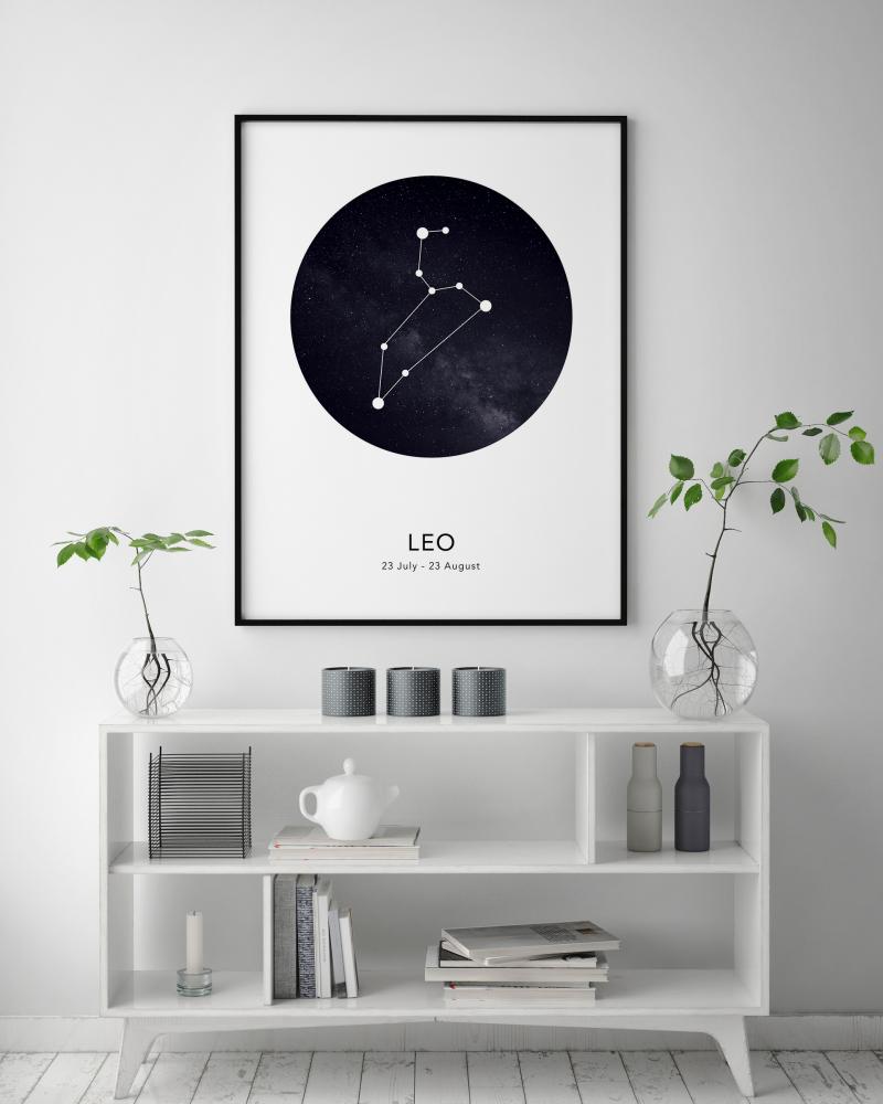 Bildverkstad Leo Poster