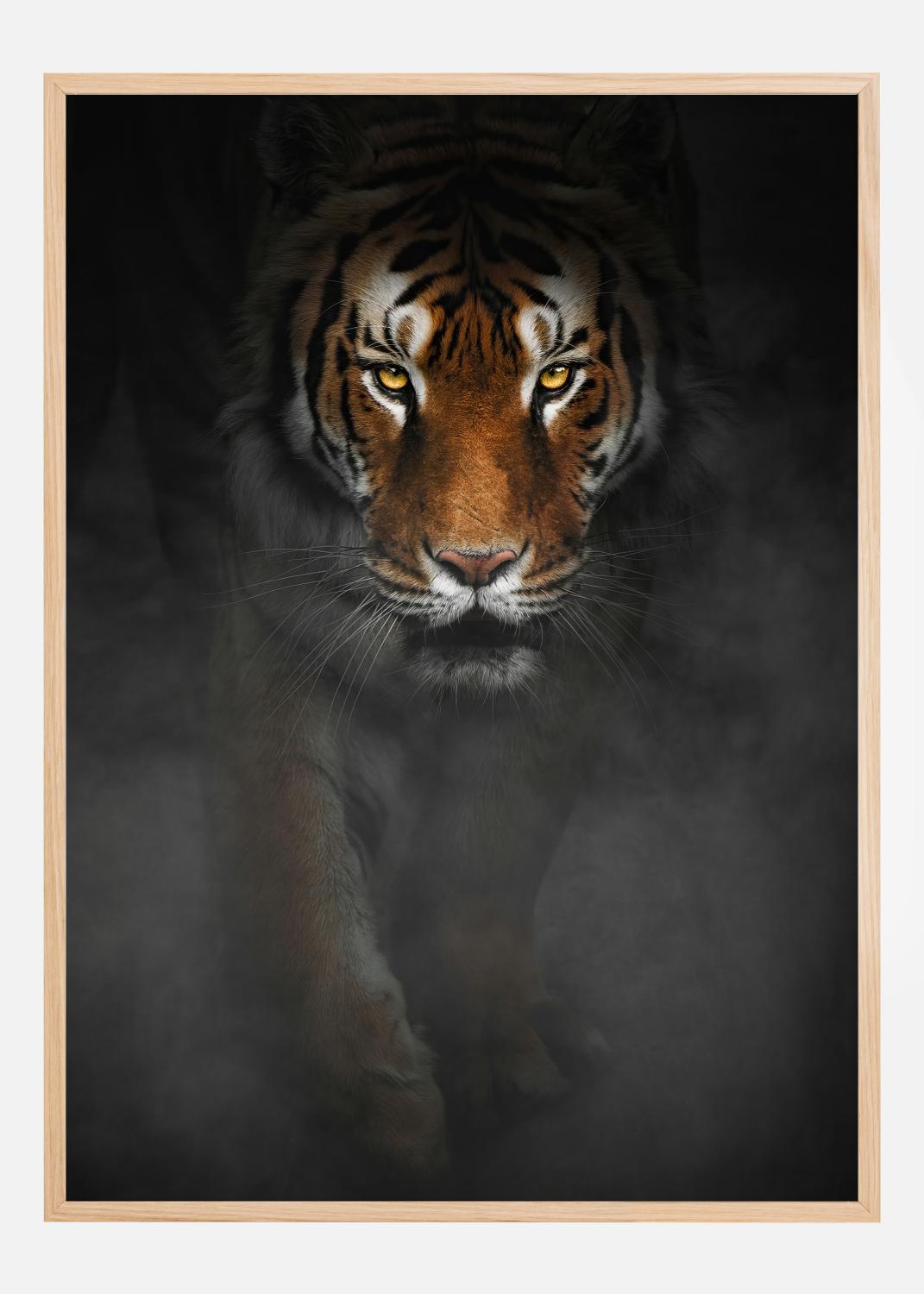 Product Image for Intense Tiger Poster (50x70 cm)