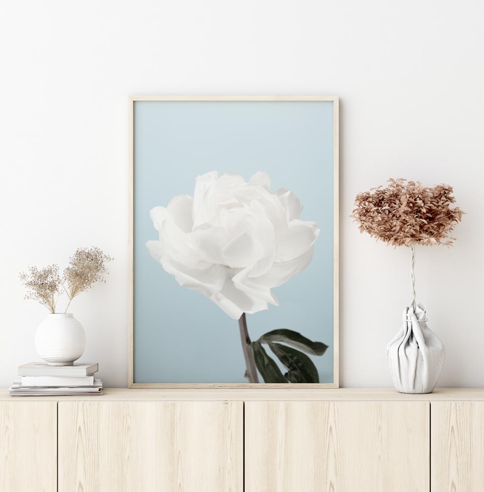 Bildverkstad Peony Poster