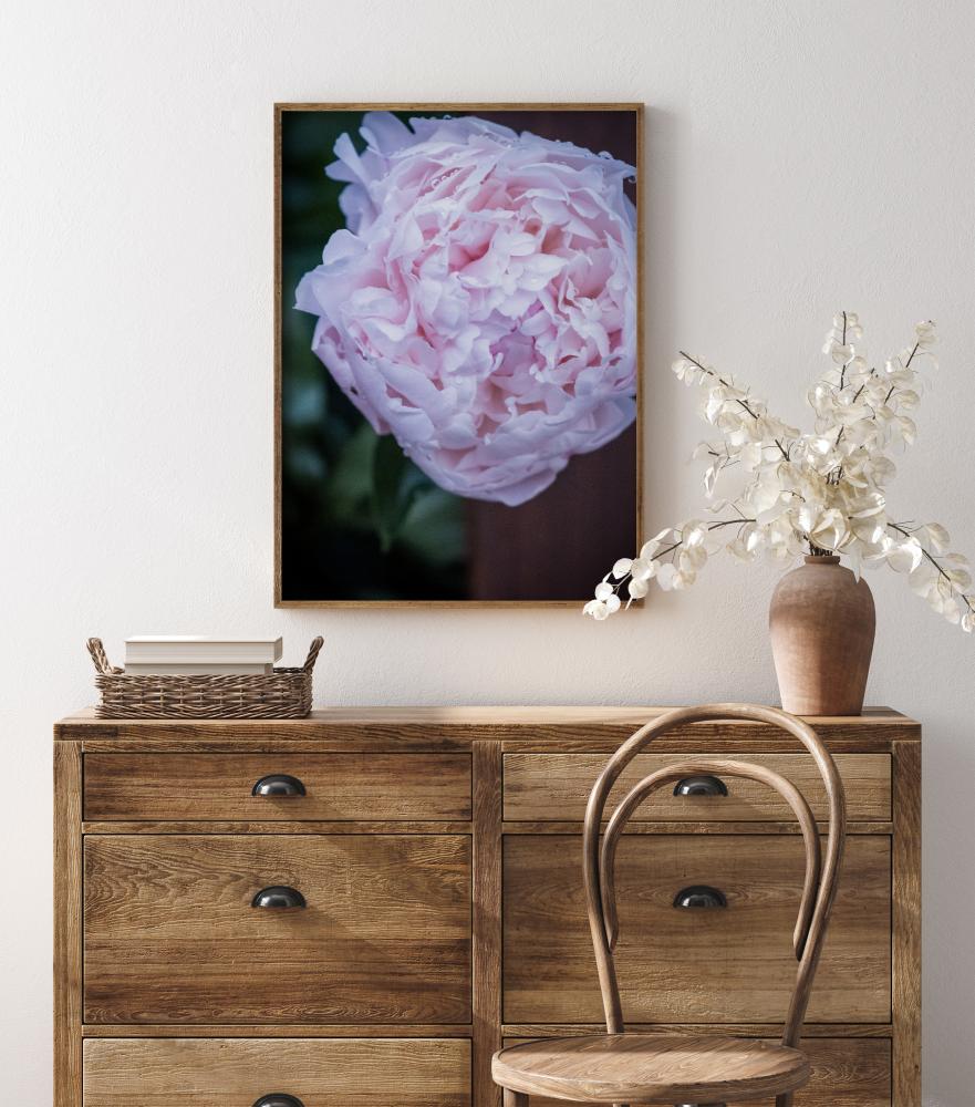 Bildverkstad Peony I Poster